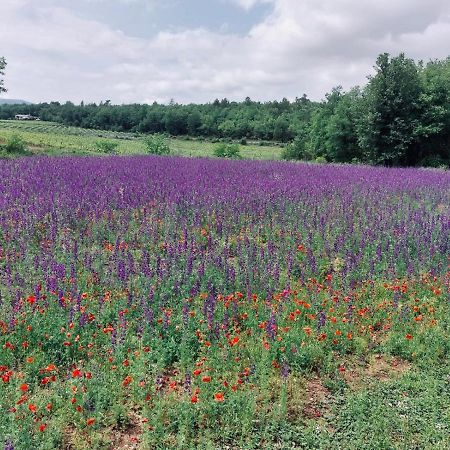 Les Jardins D'Isa Villa Tourves Exteriör bild