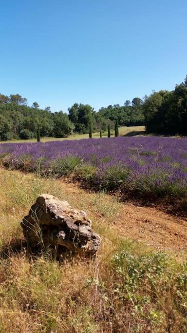 Les Jardins D'Isa Villa Tourves Exteriör bild