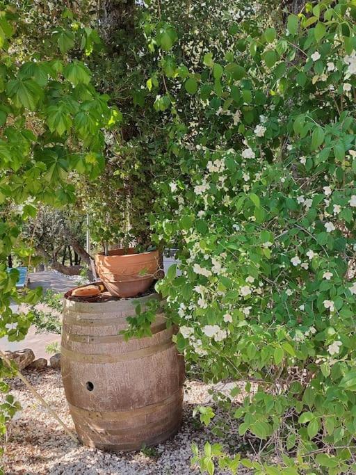 Les Jardins D'Isa Villa Tourves Exteriör bild