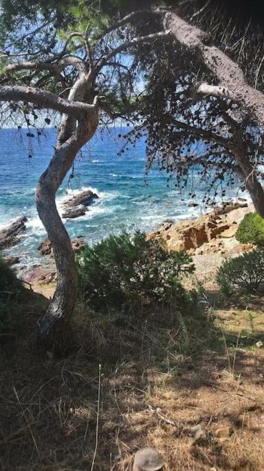 Les Jardins D'Isa Villa Tourves Exteriör bild