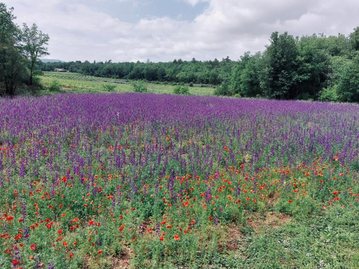 Les Jardins D'Isa Villa Tourves Exteriör bild