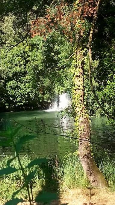 Les Jardins D'Isa Villa Tourves Exteriör bild