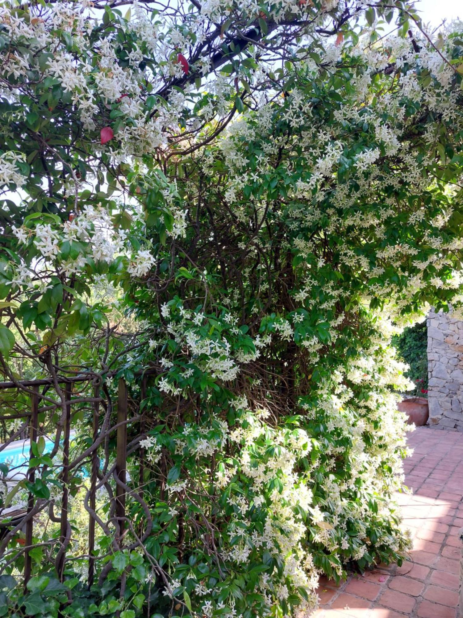 Les Jardins D'Isa Villa Tourves Exteriör bild